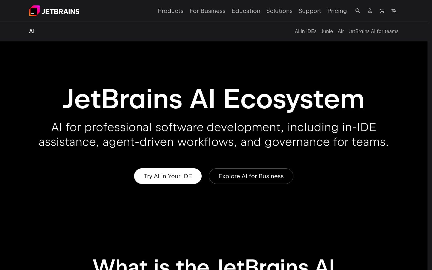 JetBrains AI Assistant preview