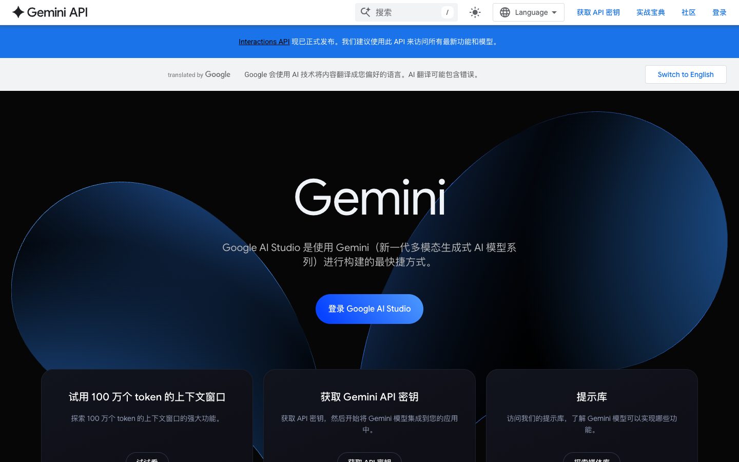 Google AI Studio preview